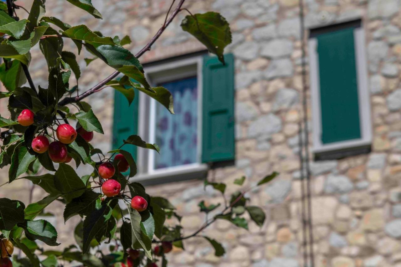 Podere Pratizzoli Tole Ngoại thất bức ảnh