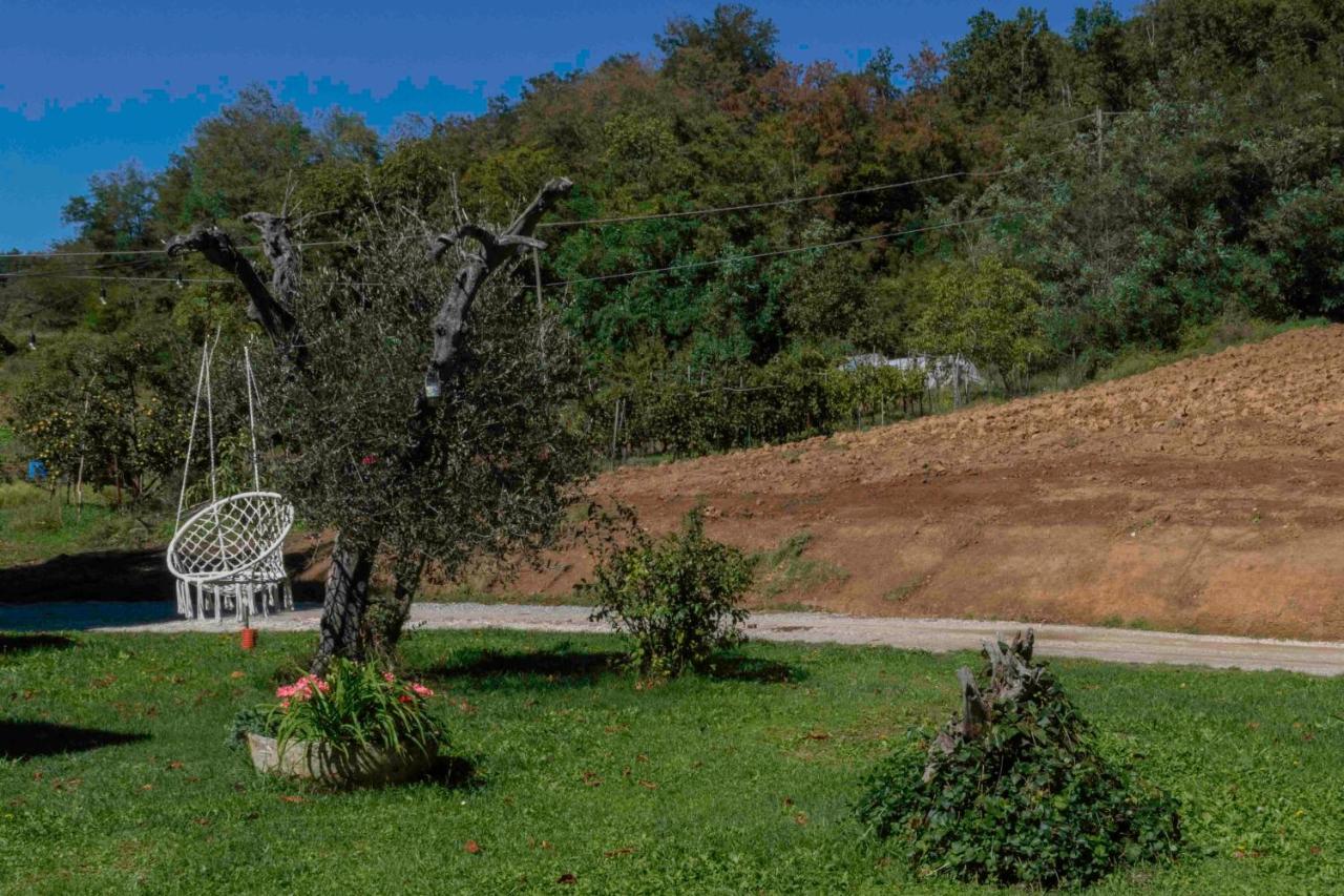 Podere Pratizzoli Tole Ngoại thất bức ảnh